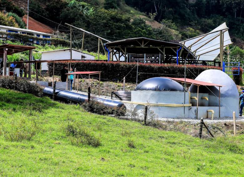 Colombia da sus primeros pasos para generar energía con estiércol de animales.