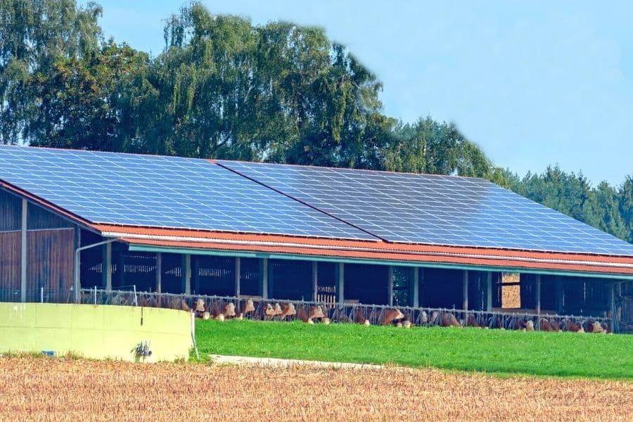 Esta granja ha logrado reducir su factura eléctrica un 95% gracias a la energía solar y las baterías.