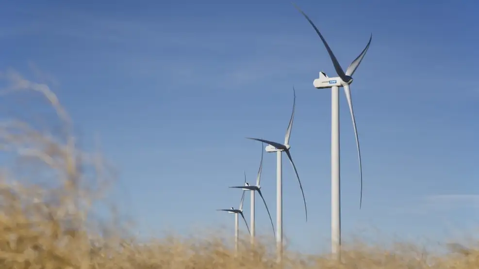 Transición energética: ¿qué camino debe tomar Argentina hacia las energías limpias?.